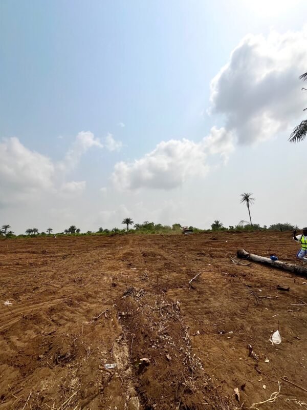 500SQM land in Epe for sale - Image 2